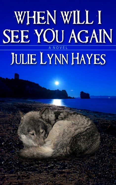 When Will I See You Again by Julie Lynn Hayes