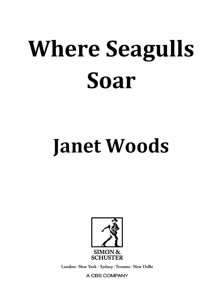 Where Seagulls Soar