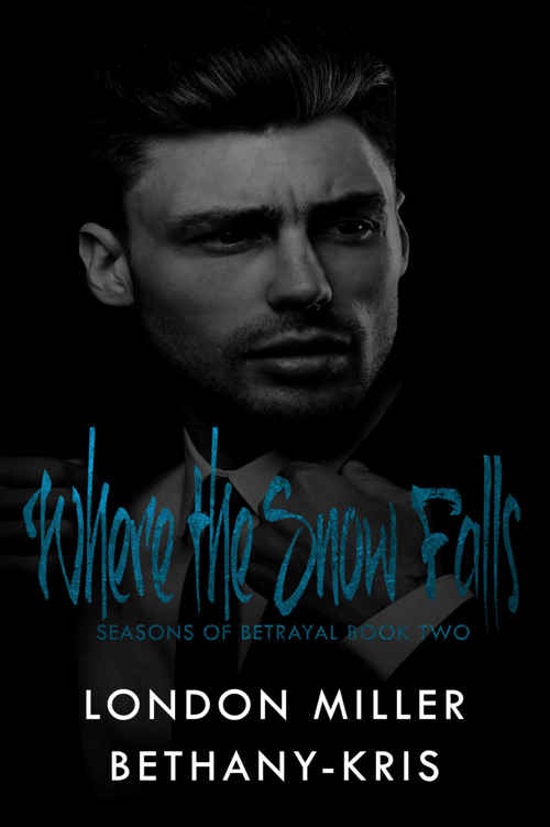 Where the Snow Falls (Seasons of Betrayal Book 2)