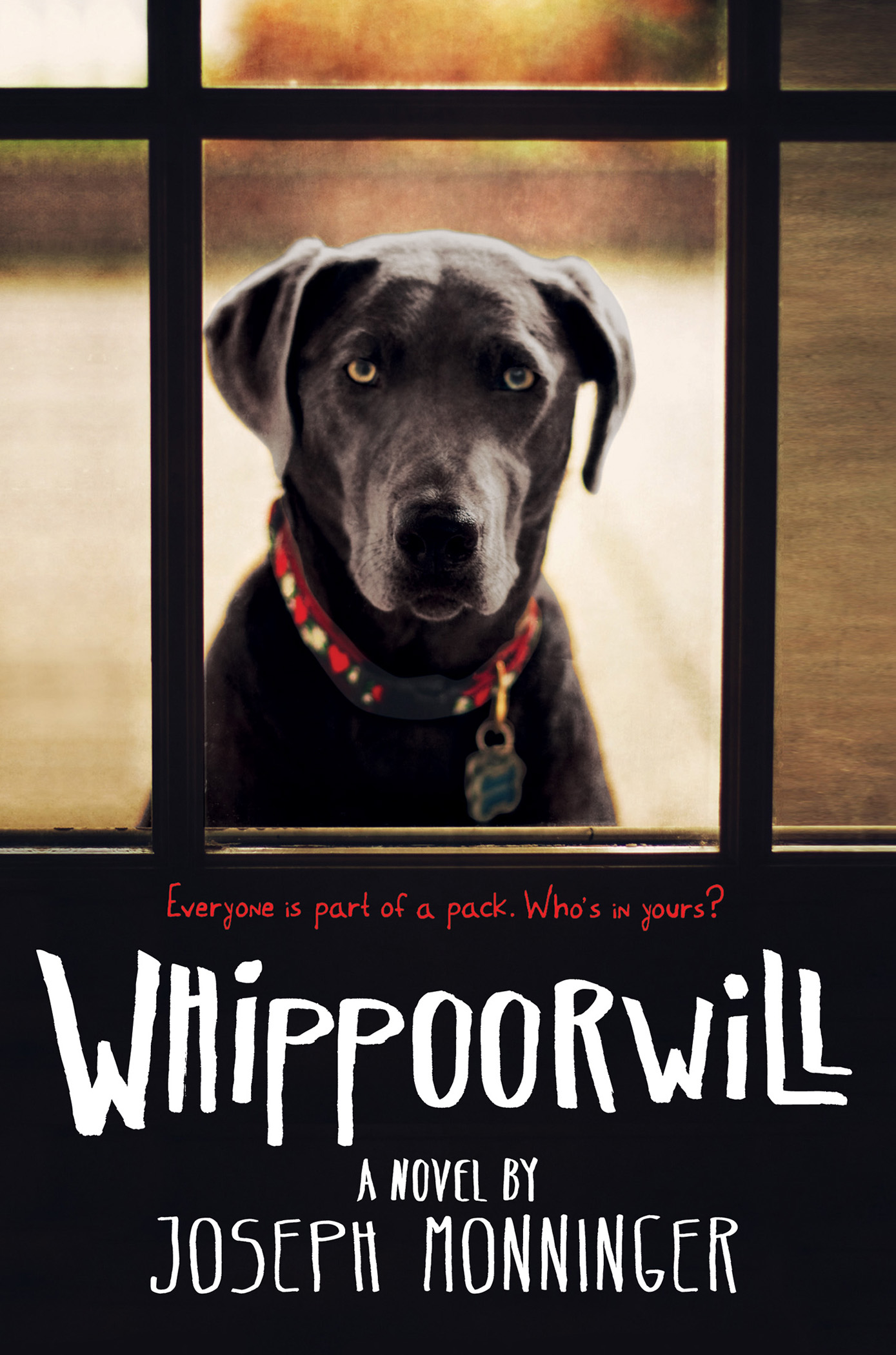 Whippoorwill by Joseph Monninger