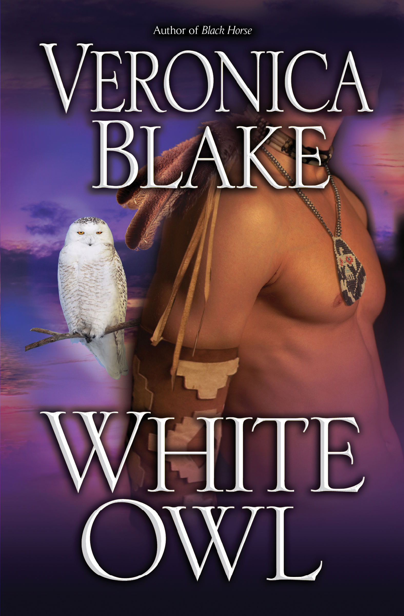 White Owl (2011) by Veronica Blake