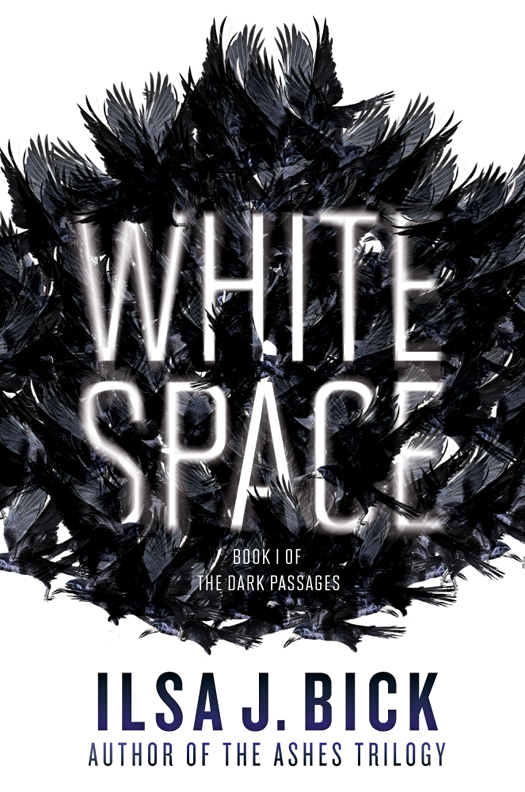 White Space (2014) by Ilsa J. Bick