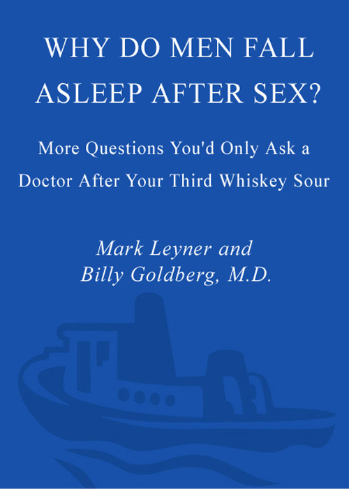 Why Do Men Fall Asleep After Sex? (2006) by Mark Leyner