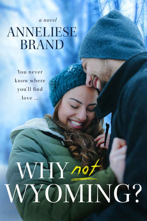 Why not Wyoming? (Wyoming Wilds Series Book 1) by Anneliese Brand