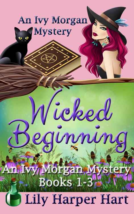 Wicked Beginning: An Ivy Morgan Mystery Books 1-3 by Lily Harper Hart