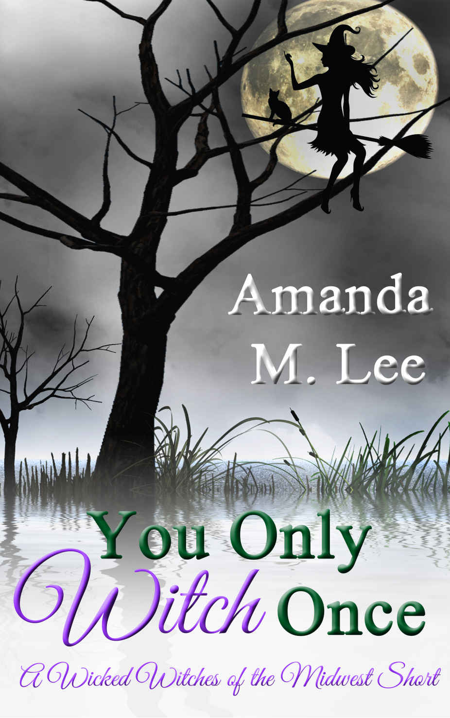 wicked witches 06.9 - you only witch once by lee, amanda m