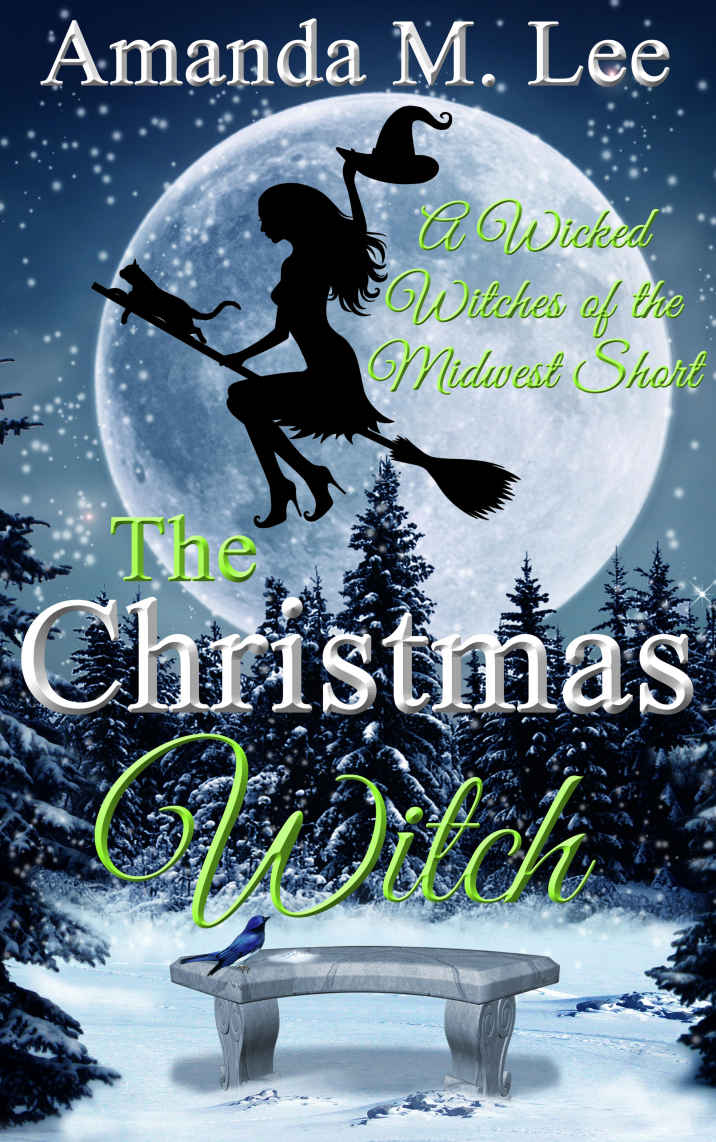 wicked witches 07.5 - christmas witch