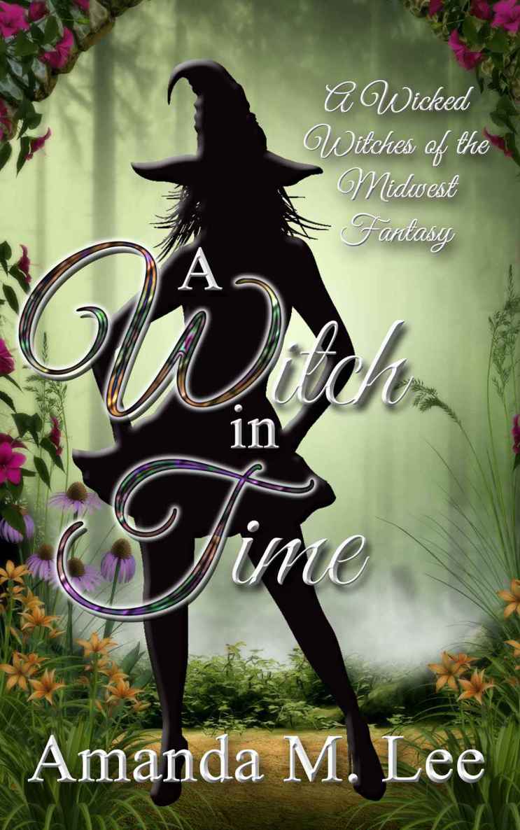 wicked witches 08.6 - a witch in time by lee, amanda m