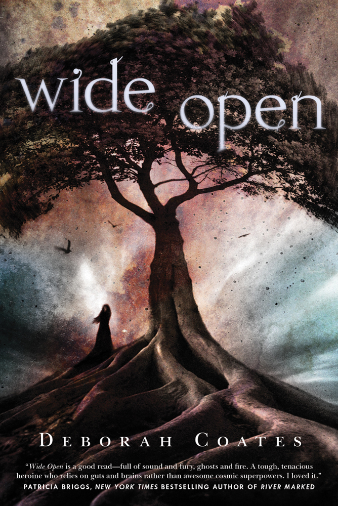 Wide Open by Deborah Coates