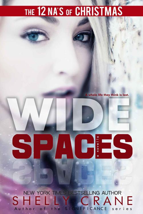 Wide Spaces (A Wide Awake Novella, Book 2) by Crane, Shelly