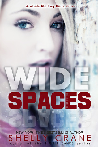 Wide Spaces (2000) by Shelly Crane