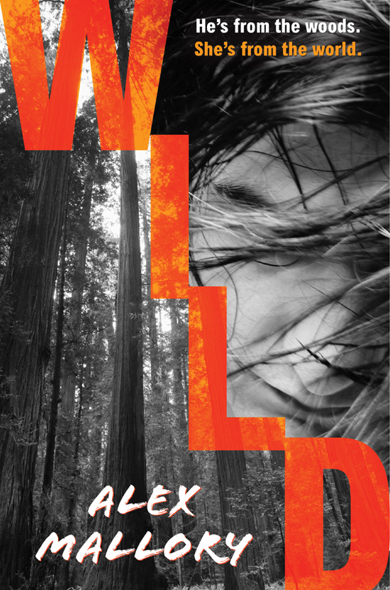 Wild (2013) by Alex Mallory