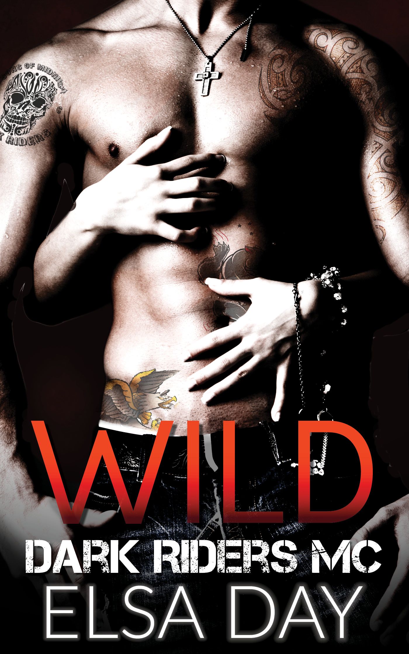 Wild: Dark Riders Motorcycle Club (2014)