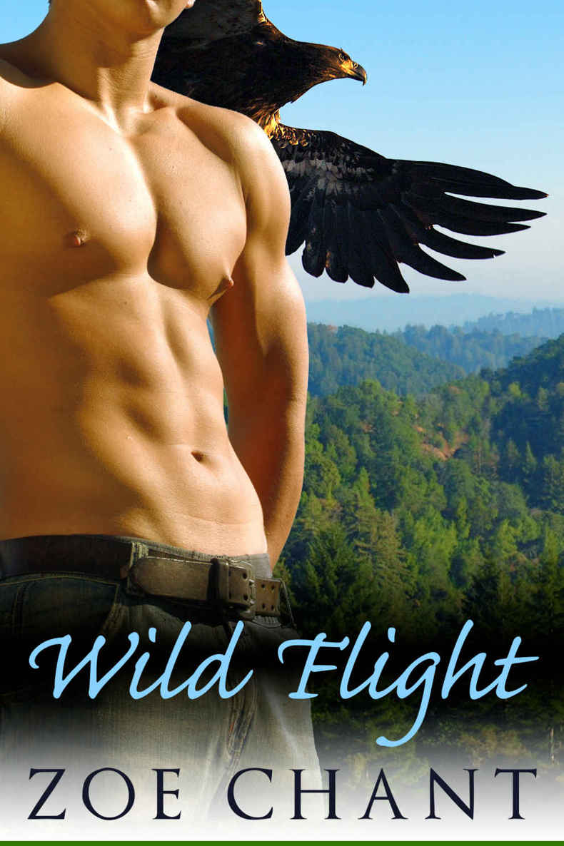 Wild Flight: A BBW Paranormal Eagle Shifter Romance by Chant, Zoe