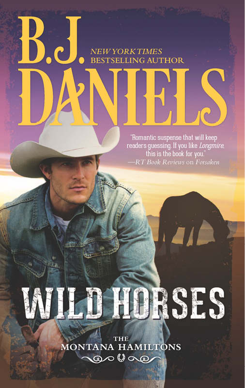 Wild Horses (2014) by B.J. Daniels