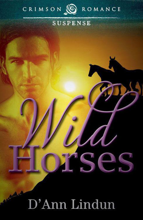 Wild Horses by D'Ann Lindun