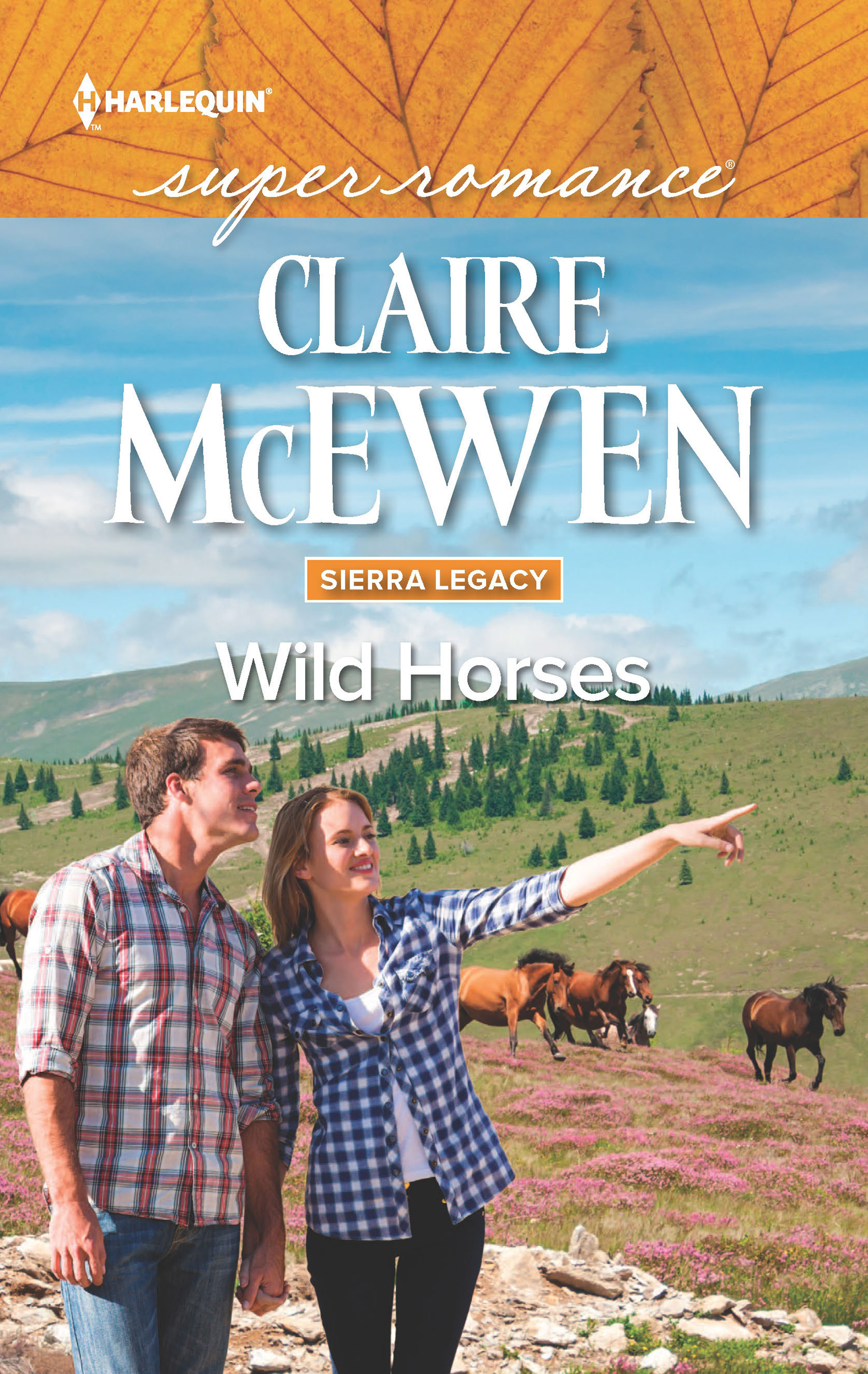 Wild Horses (2015) by Claire McEwen