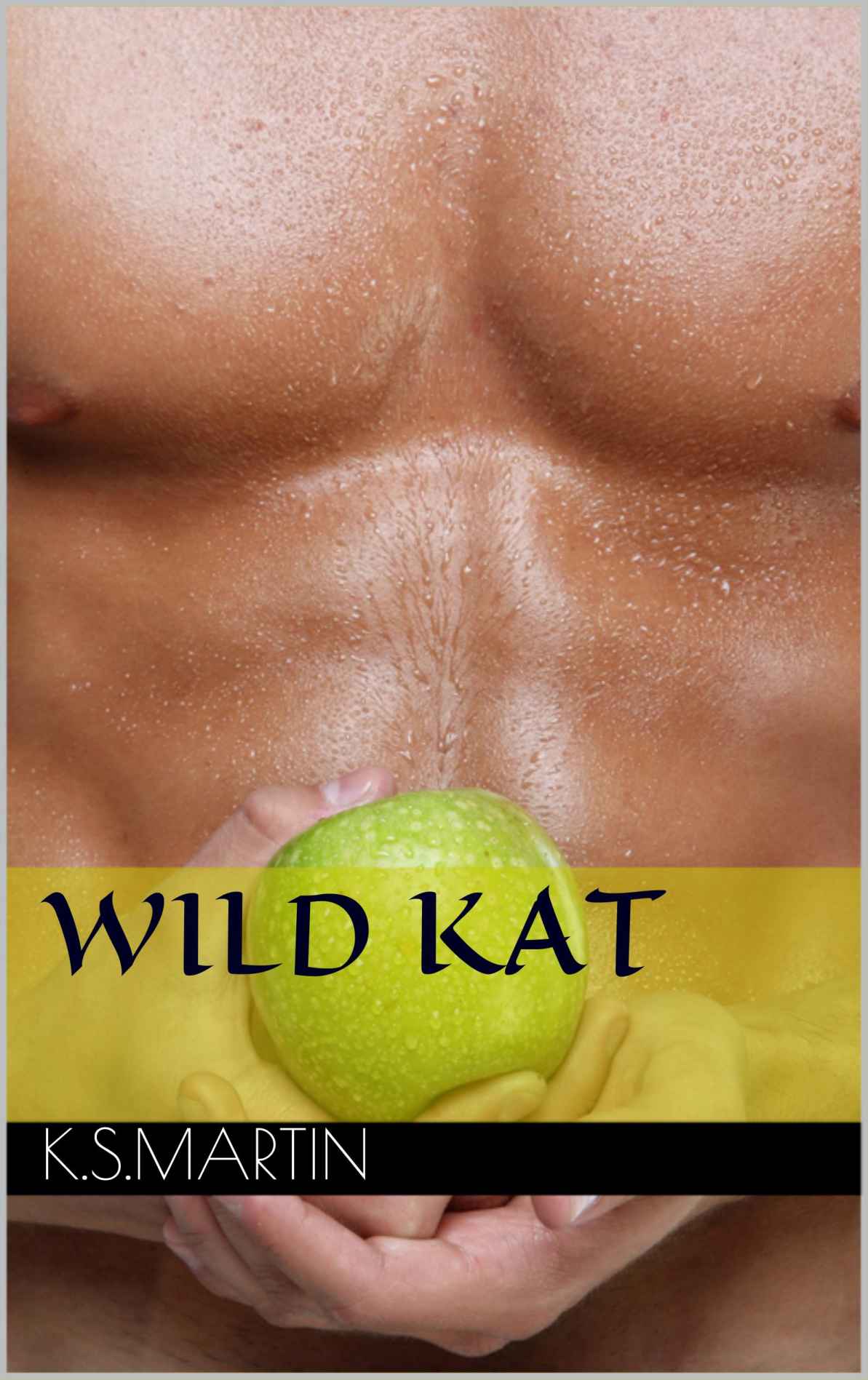 Wild Kat by Martin, K.S.