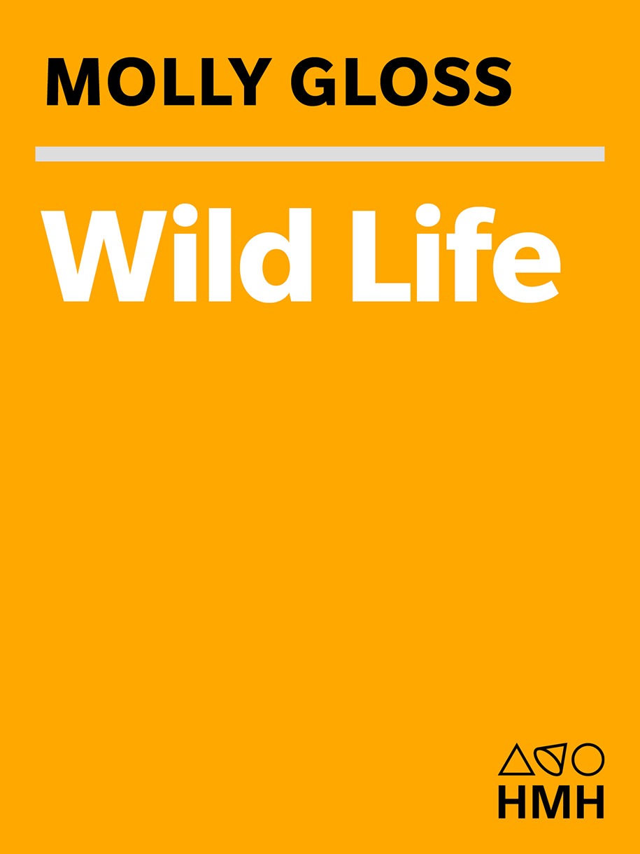 Wild Life by Molly Gloss