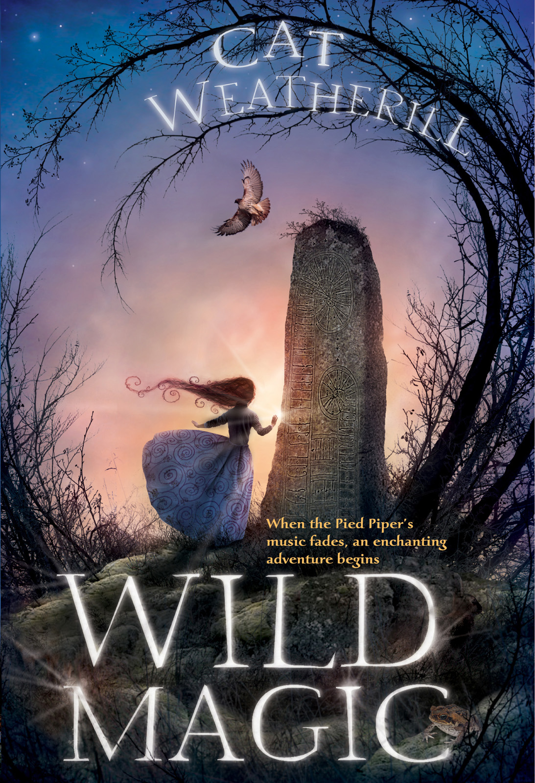 Wild Magic (2010) by Cat Weatherill