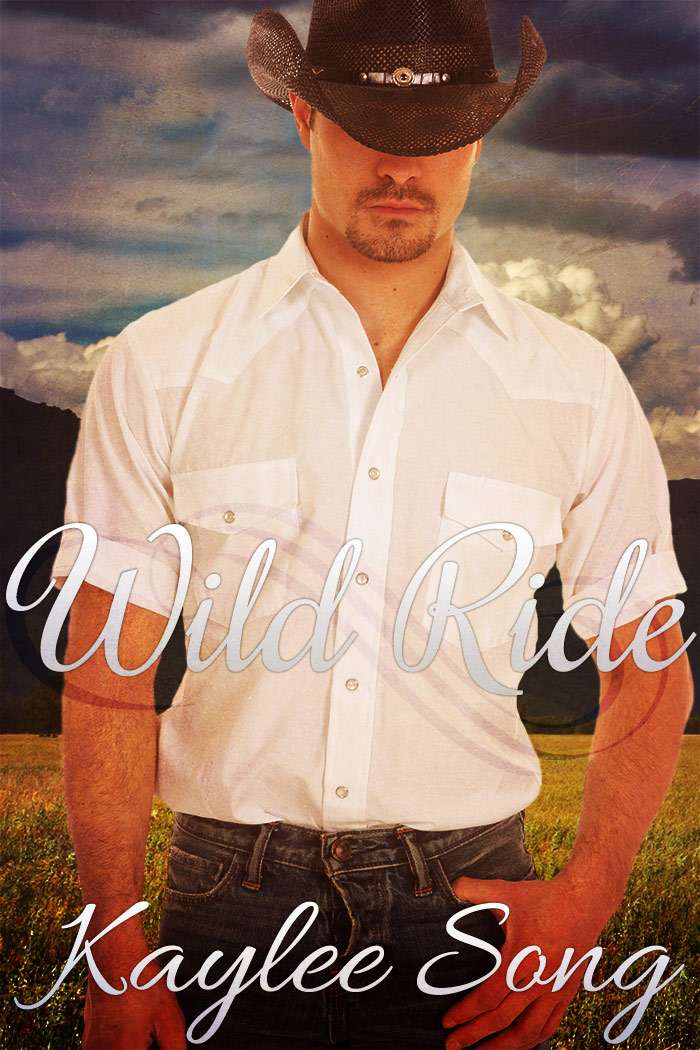 Wild Ride: BBW Western Romance (Under Open Skies Saga Book 2)