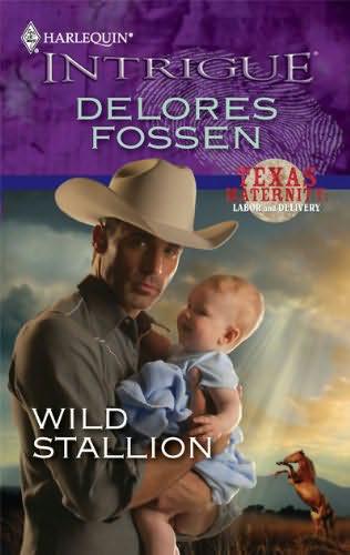 Wild Stallion by Delores Fossen