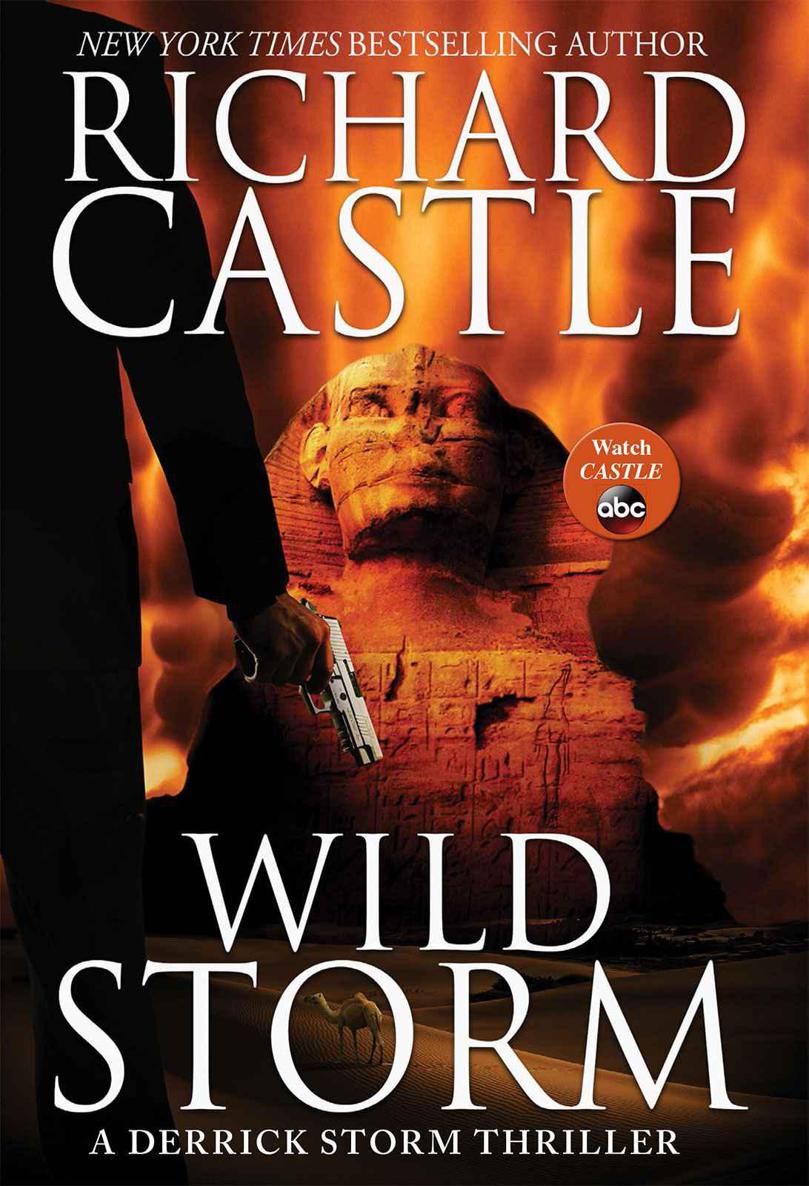 Wild Storm by Richard Castle