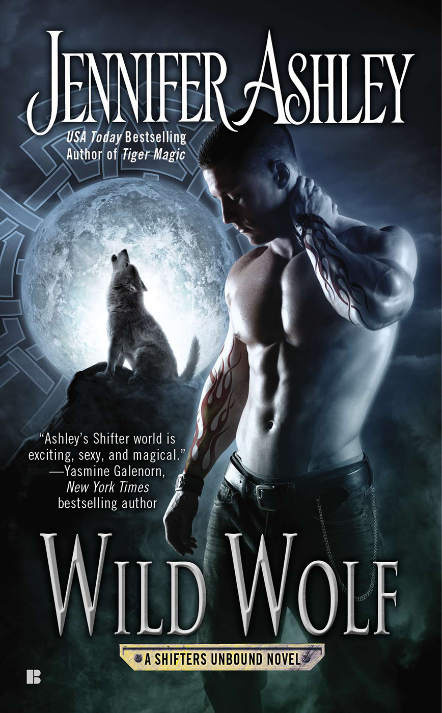 Wild Wolf (2014) by Jennifer Ashley