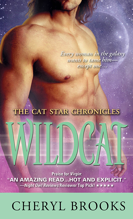 Wildcat by Brooks, Cheryl