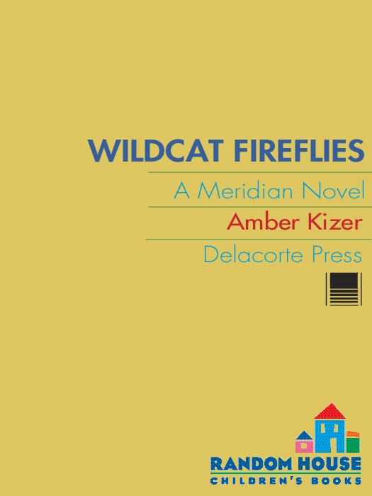 Wildcat Fireflies (2011) by Amber Kizer