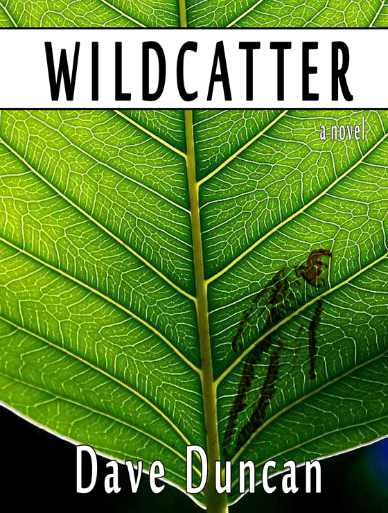 Wildcatter (2012) by Dave Duncan