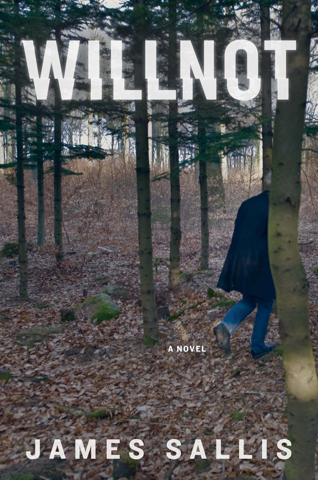 Willnot (2016) by James Sallis