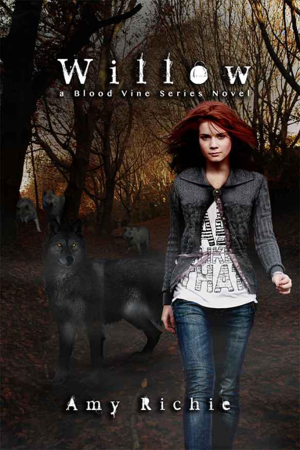 Willow (Blood Vine Series) by Richie, Amy