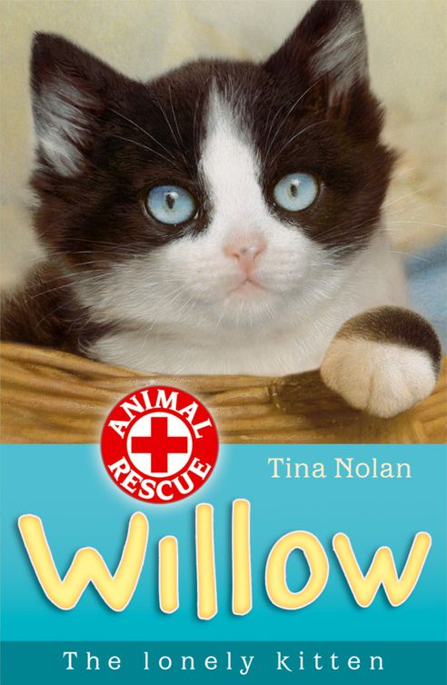 Willow the lonely kitten (2012) by Tina Nolan