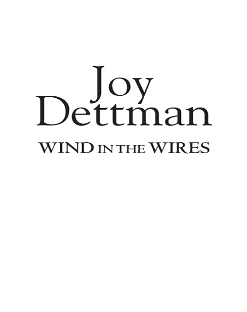 Wind in the Wires by Joy Dettman