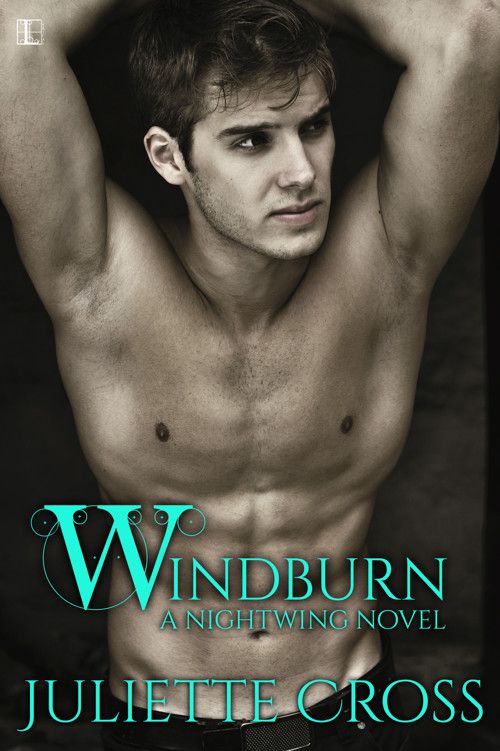 Windburn (Nightwing# 2) (2015) by Juliette Cross