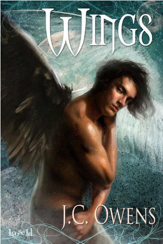 Wings by Owens, J. C.