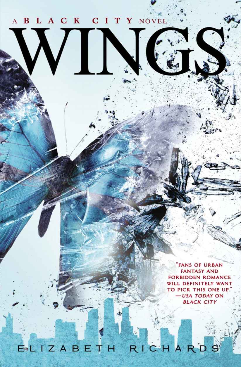 Wings (A Black City Novel) by Elizabeth  Richards