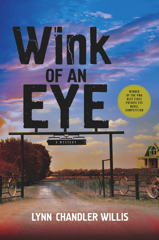 Wink of an Eye by Lynn Chandler Willis