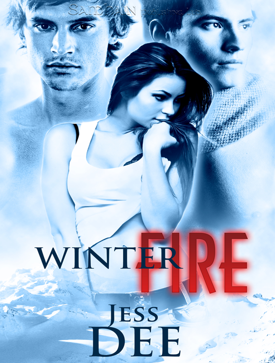 Winter Fire: A Red Hot Winter Story (2011) by Jess Dee