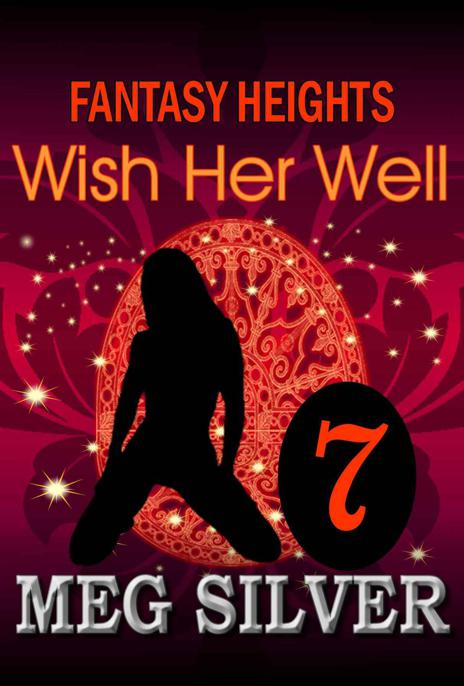 Wish Her Well by Silver, Meg