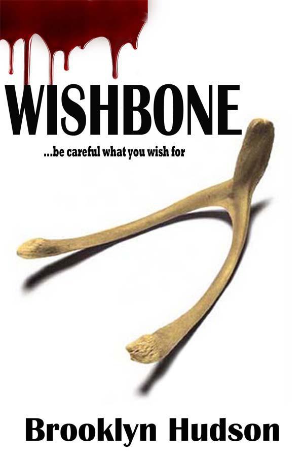 WISHBONE by Hudson, Brooklyn