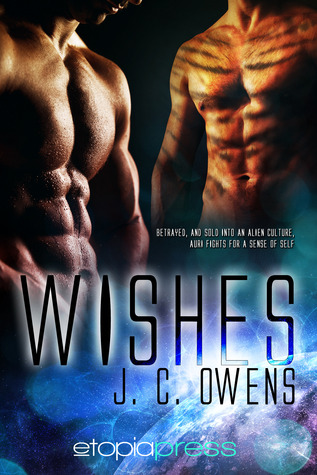 Wishes (2012) by J.C. Owens