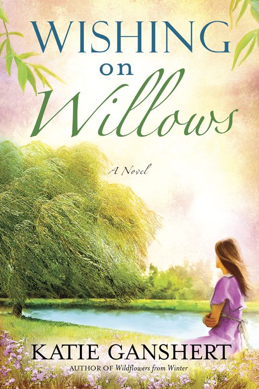 Wishing on Willows: A Novel