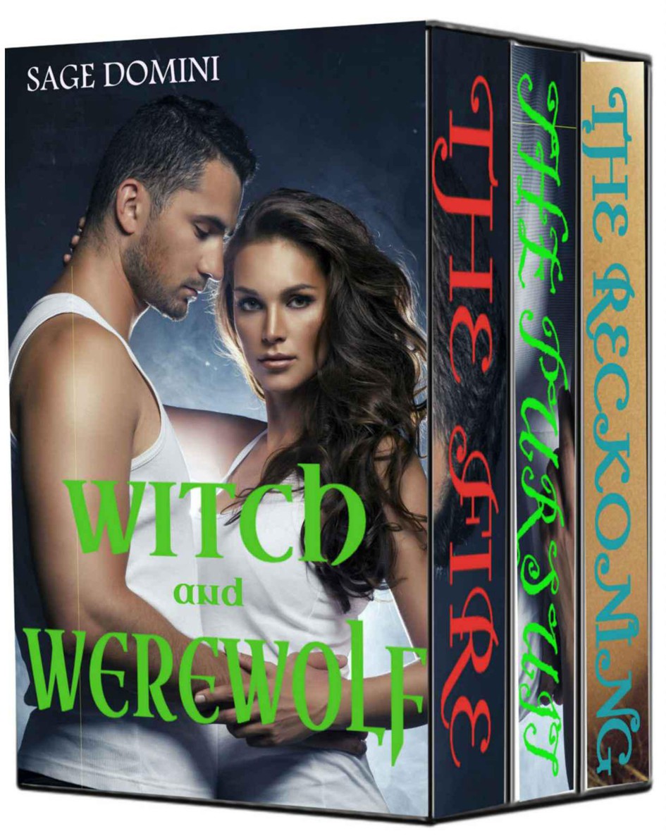 Witch and Werewolf: The Fire, The Pursuit, The Reckoning (BBW Paranormal Shifter Romance)