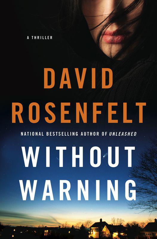 Without Warning by David Rosenfelt