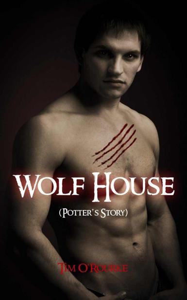 Wolf House (Potter's Story) by Tim O'Rourke