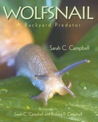 Wolfsnail: A Backyard Predator (2008) by Sarah C. Campbell