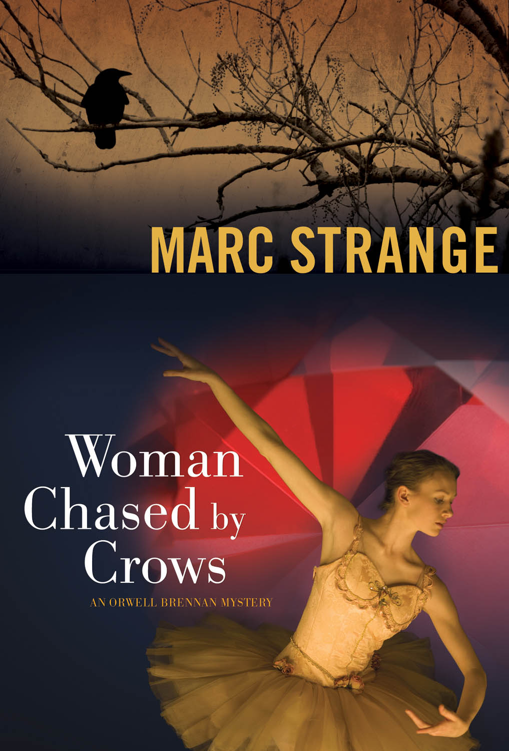 Woman Chased by Crows (2012)