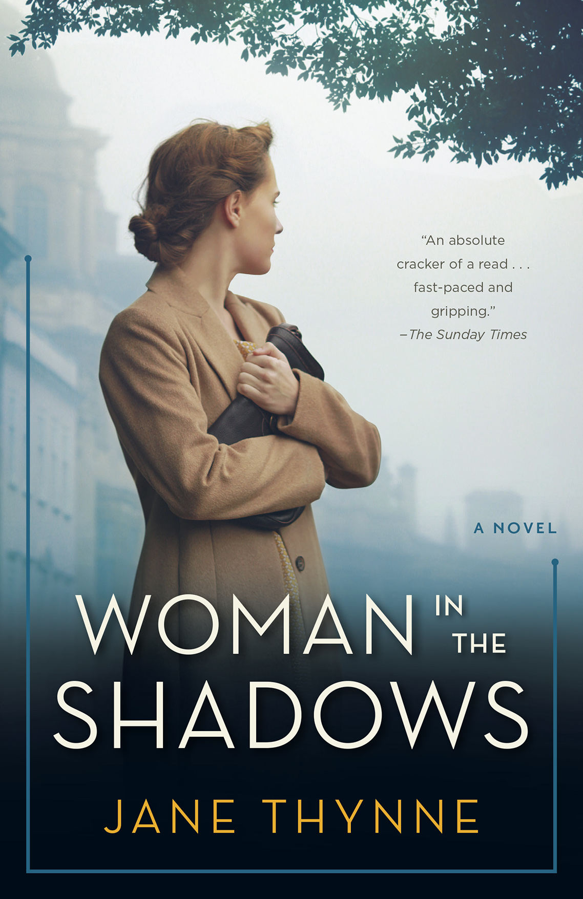 Woman in the Shadows (2016)